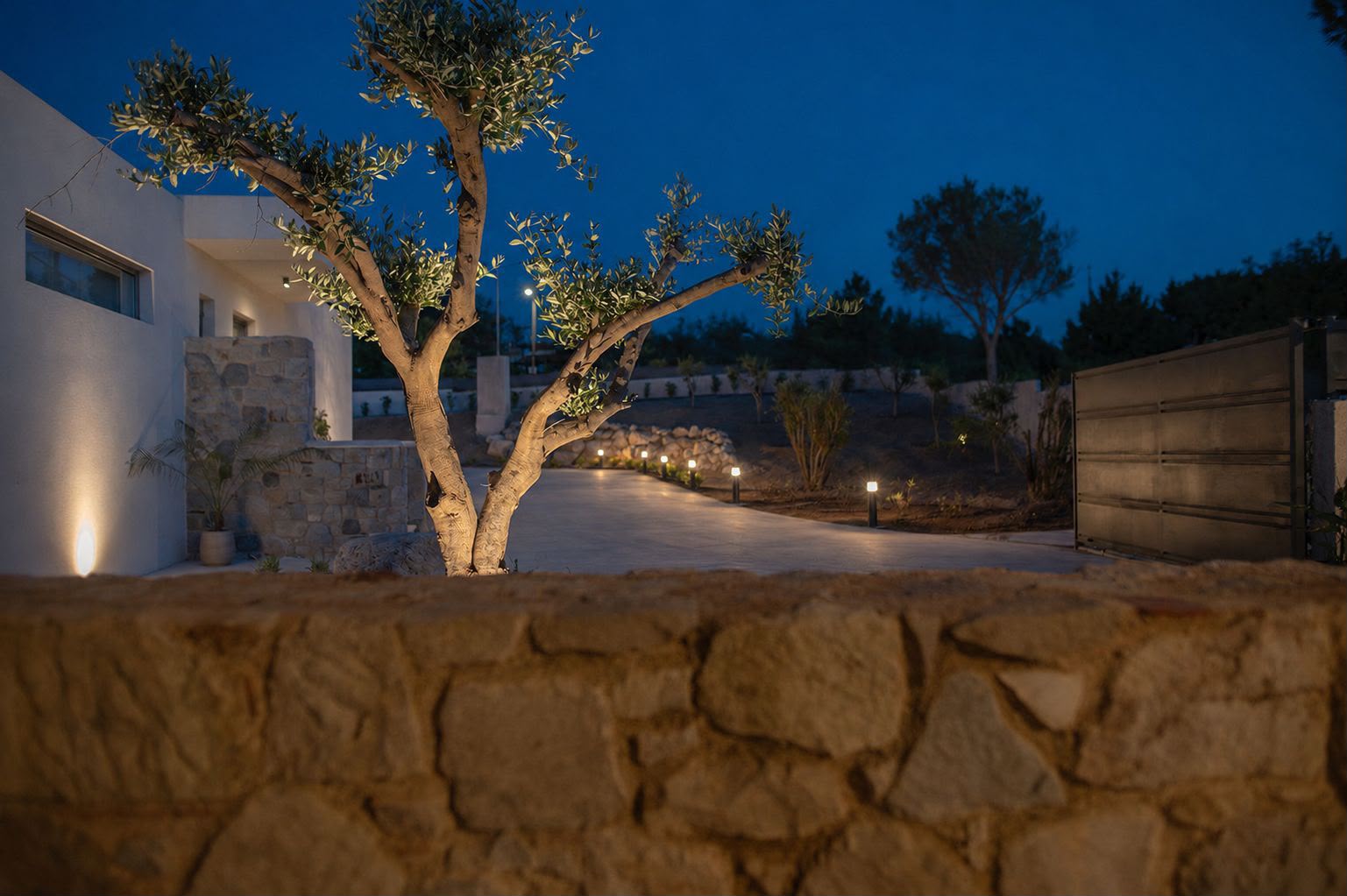 Courtyard Garden